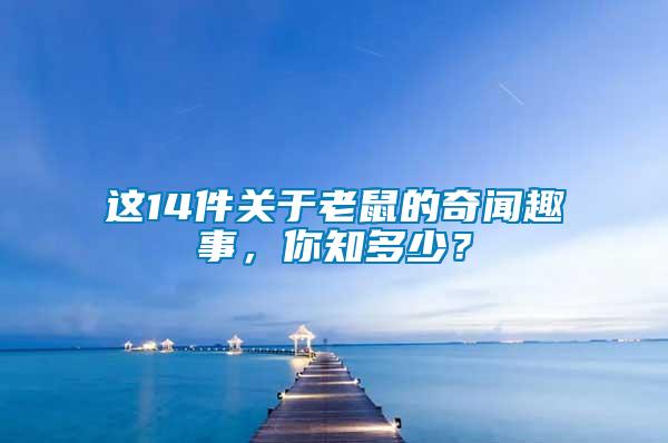 這14件關(guān)于老鼠的奇聞趣事，你知多少？