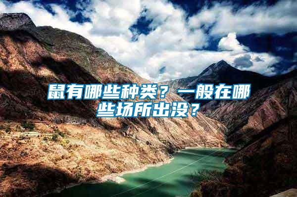 鼠有哪些種類？一般在哪些場所出沒？