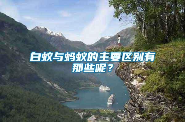 白蟻與螞蟻的主要區別有那些呢？