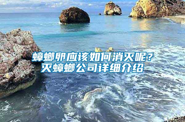 蟑螂卵應(yīng)該如何消滅呢？滅蟑螂公司詳細介紹