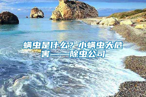螨蟲(chóng)是什么？小螨蟲(chóng)大危害——除蟲(chóng)公司