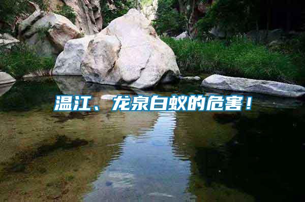 溫江、龍泉白蟻的危害！