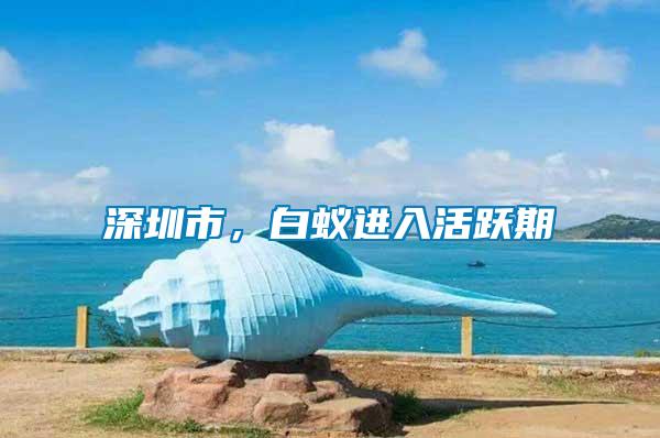 深圳市，白蟻進入活躍期