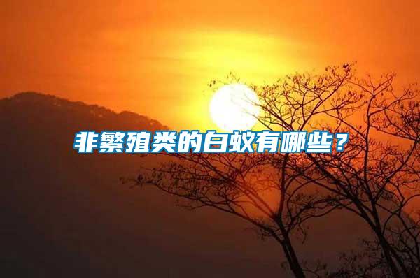 非繁殖類(lèi)的白蟻有哪些？