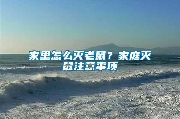 家里怎么滅老鼠？家庭滅鼠注意事項