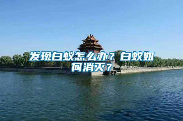 發(fā)現(xiàn)白蟻怎么辦？白蟻如何消滅？