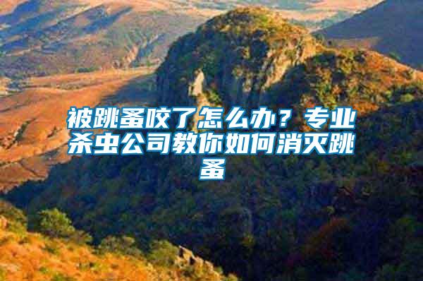 被跳蚤咬了怎么辦？專(zhuān)業(yè)殺蟲(chóng)公司教你如何消滅跳蚤