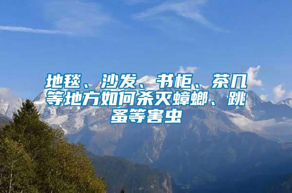 地毯、沙發、書柜、茶幾等地方如何殺滅蟑螂、跳蚤等害蟲