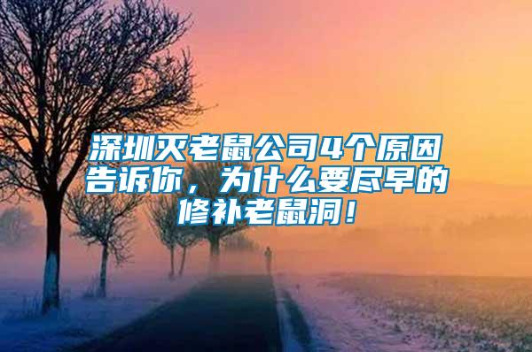 深圳滅老鼠公司4個原因告訴你，為什么要盡早的修補老鼠洞！