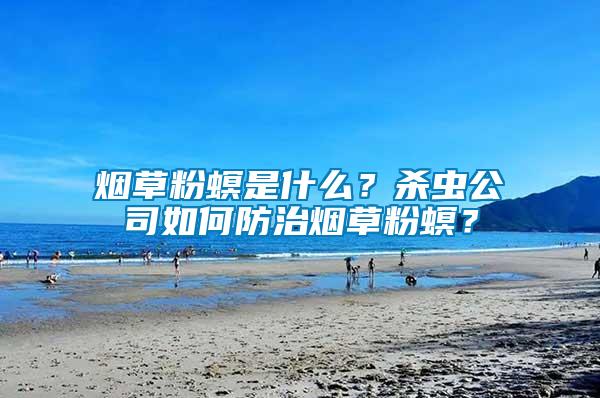 煙草粉螟是什么？殺蟲公司如何防治煙草粉螟？