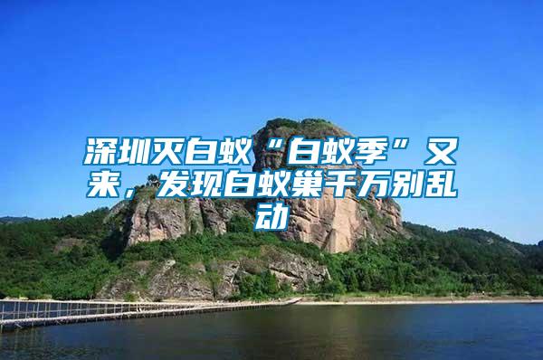 深圳滅白蟻“白蟻季”又來，發(fā)現(xiàn)白蟻巢千萬別亂動(dòng)