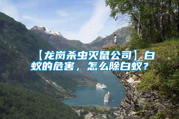 【龍崗殺蟲滅鼠公司】白蟻的危害，怎么除白蟻？