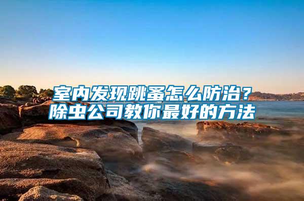 室內發現跳蚤怎么防治？除蟲公司教你最好的方法