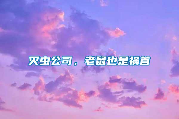 滅蟲公司，老鼠也是禍首