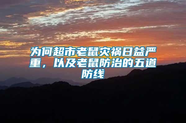 為何超市老鼠災禍日益嚴重，以及老鼠防治的五道防線