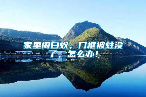 家里鬧白蟻，門框被蛀沒了，怎么辦！