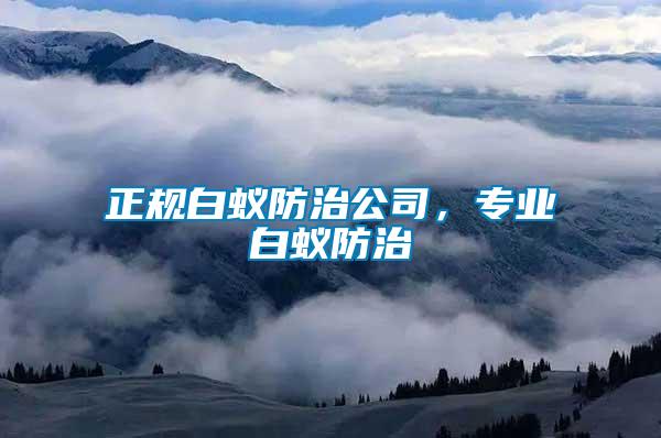正規白蟻防治公司，專業白蟻防治