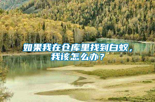 如果我在倉(cāng)庫(kù)里找到白蟻，我該怎么辦？