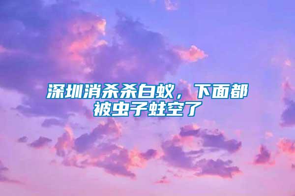 深圳消殺殺白蟻，下面都被蟲(chóng)子蛀空了