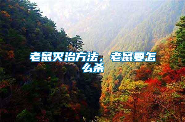 老鼠滅治方法，老鼠要怎么殺