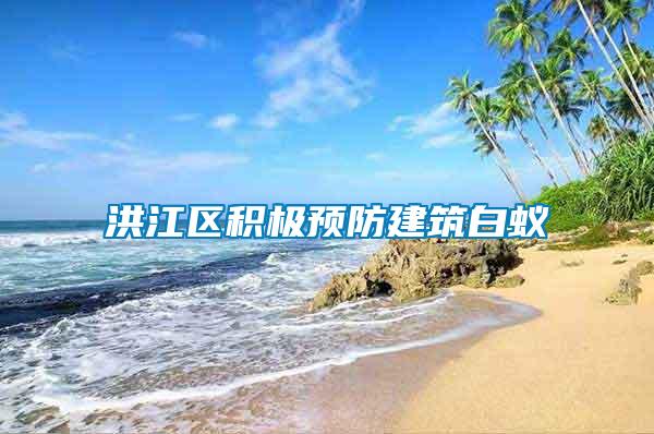 洪江區(qū)積極預防建筑白蟻