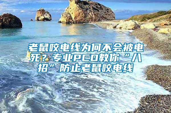 老鼠咬電線為何不會被電死？專業PCO教你“八招”防止老鼠咬電線