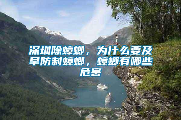 深圳除蟑螂，為什么要及早防制蟑螂，蟑螂有哪些危害