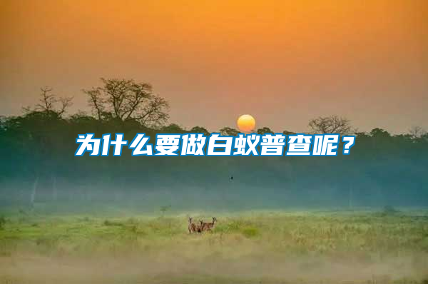 為什么要做白蟻普查呢？