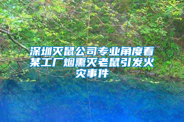 深圳滅鼠公司專業(yè)角度看某工廠煙熏滅老鼠引發(fā)火災事件
