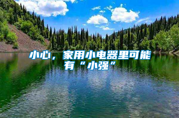 小心，家用小電器里可能有“小強”