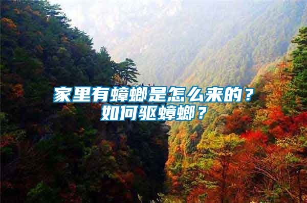 家里有蟑螂是怎么來的？如何驅蟑螂？
