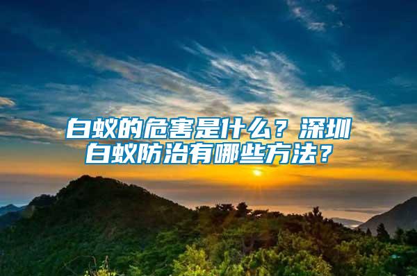 白蟻的危害是什么？深圳白蟻防治有哪些方法？
