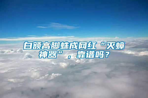 白額高腳蛛成網紅“滅蟑神器”，靠譜嗎？