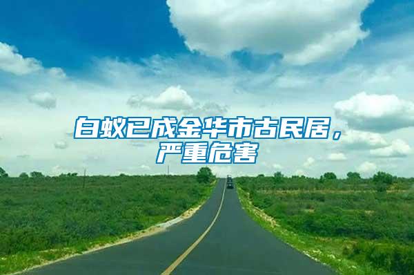 白蟻已成金華市古民居，嚴重危害