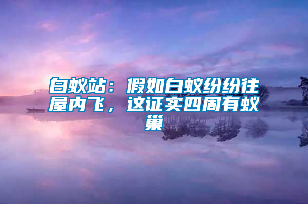 白蟻站：假如白蟻紛紛往屋內飛，這證實四周有蟻巢
