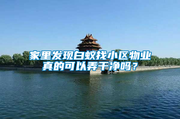 家里發(fā)現(xiàn)白蟻找小區(qū)物業(yè)真的可以弄干凈嗎？