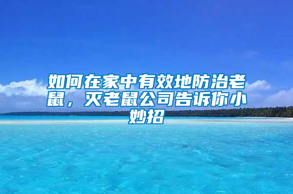 如何在家中有效地防治老鼠，滅老鼠公司告訴你小妙招