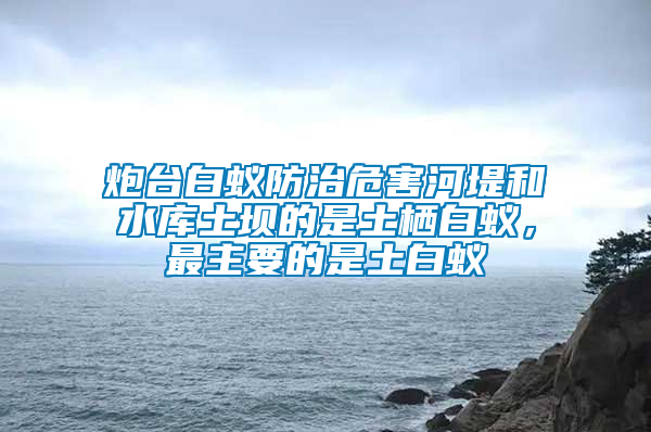 炮臺(tái)白蟻防治危害河堤和水庫土壩的是土棲白蟻，最主要的是土白蟻