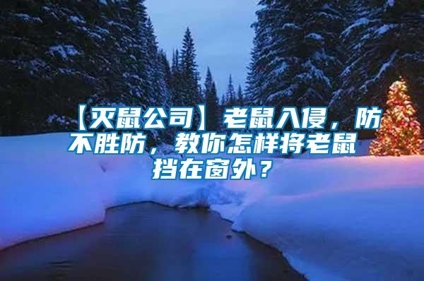 【滅鼠公司】老鼠入侵，防不勝防，教你怎樣將老鼠擋在窗外？