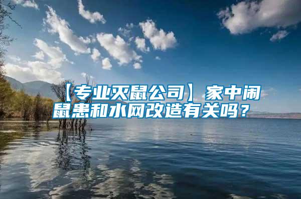 【專業滅鼠公司】家中鬧鼠患和水網改造有關嗎？