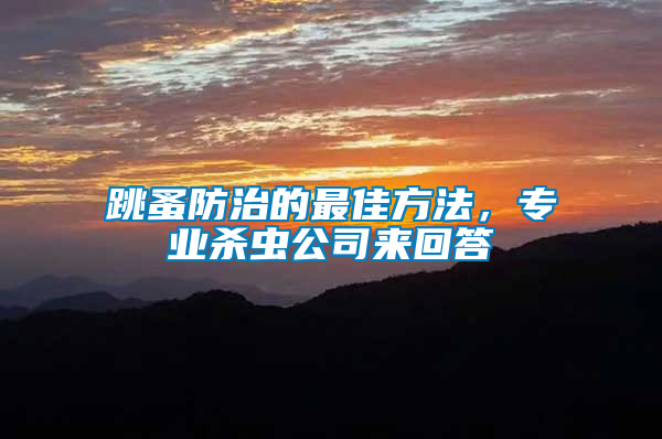 跳蚤防治的最佳方法，專(zhuān)業(yè)殺蟲(chóng)公司來(lái)回答