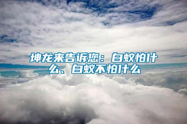 坤龍來告訴您：白蟻怕什么、白蟻不怕什么