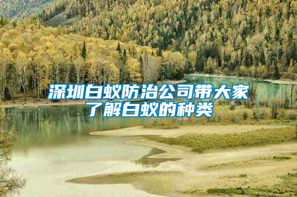 深圳白蟻防治公司帶大家了解白蟻的種類(lèi)