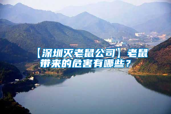 【深圳滅老鼠公司】老鼠帶來的危害有哪些？
