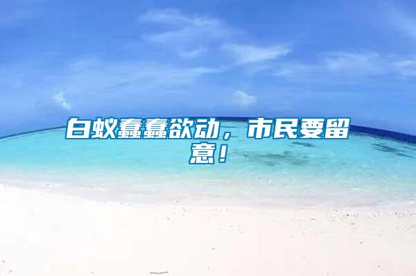 白蟻蠢蠢欲動，市民要留意！