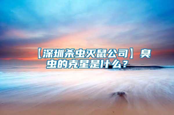 【深圳殺蟲滅鼠公司】臭蟲的克星是什么？