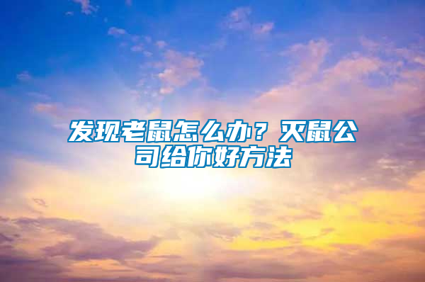 發現老鼠怎么辦？滅鼠公司給你好方法