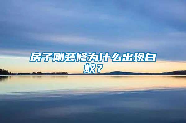 房子剛裝修為什么出現(xiàn)白蟻？