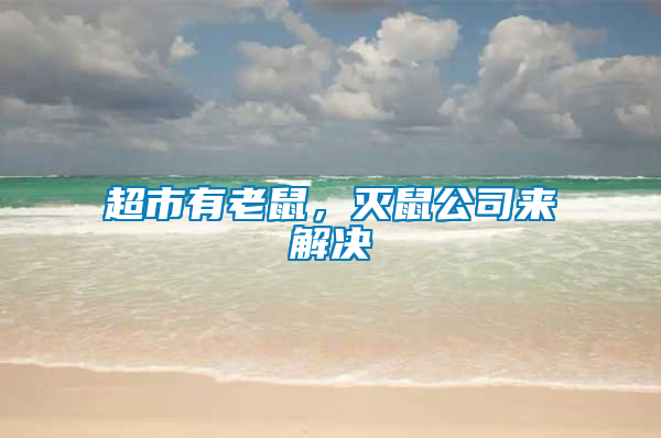 超市有老鼠，滅鼠公司來解決