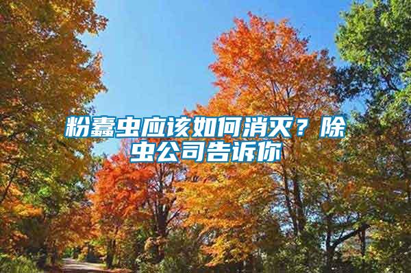 粉蠹蟲應該如何消滅？除蟲公司告訴你